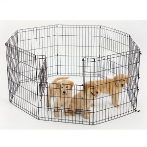 Top Paw® Exercise Pen